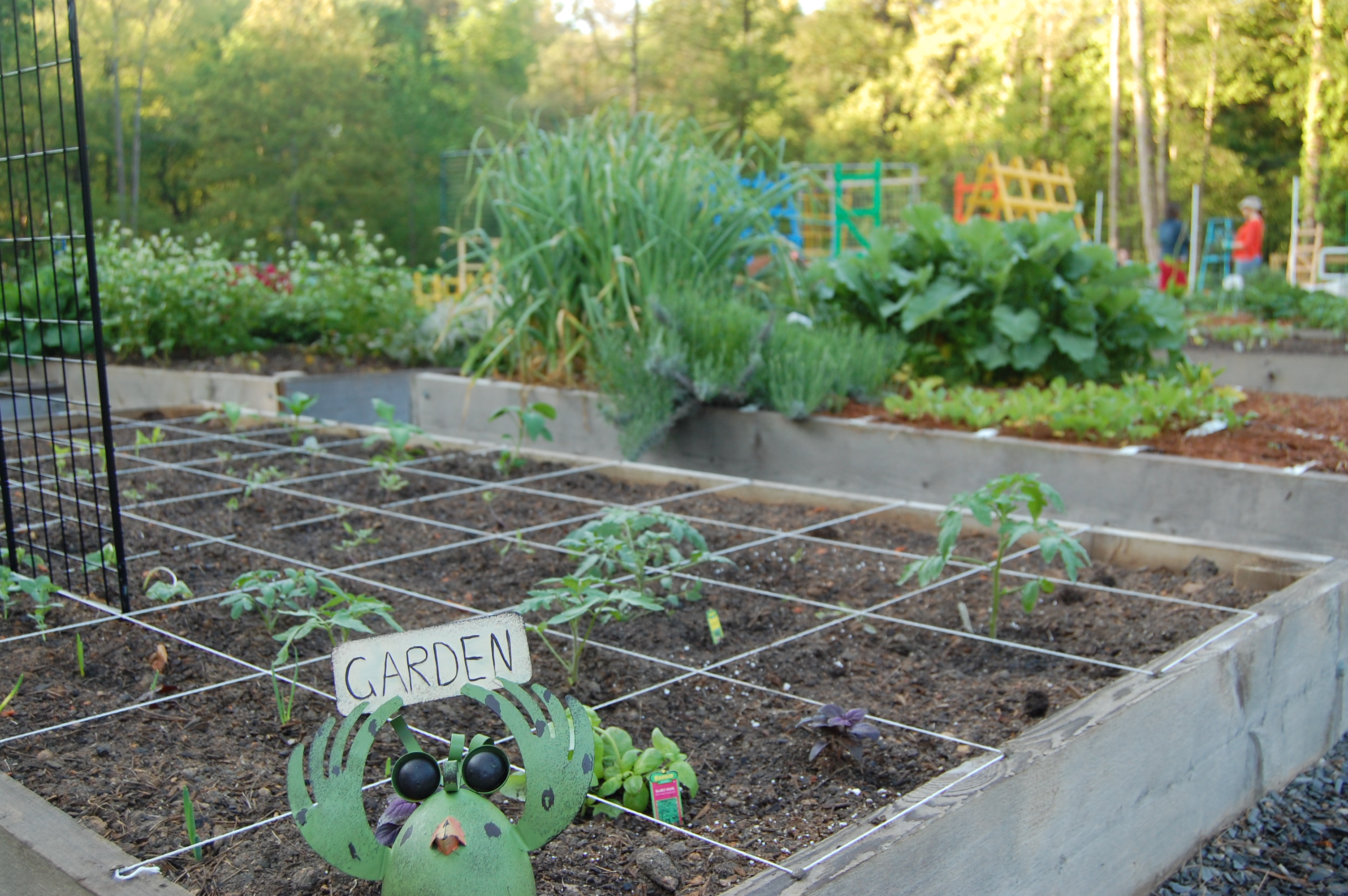 Plots Harvest Farm